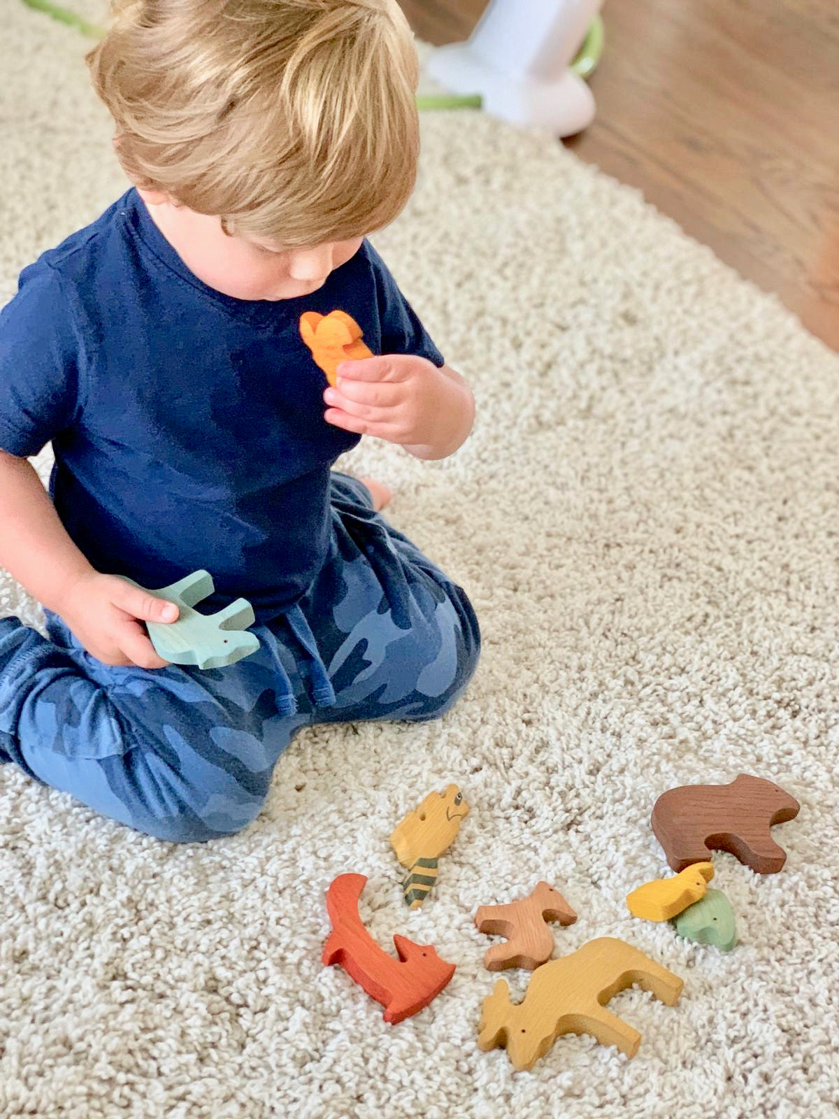 Child playing with wooden animal toys on a carpeted floor