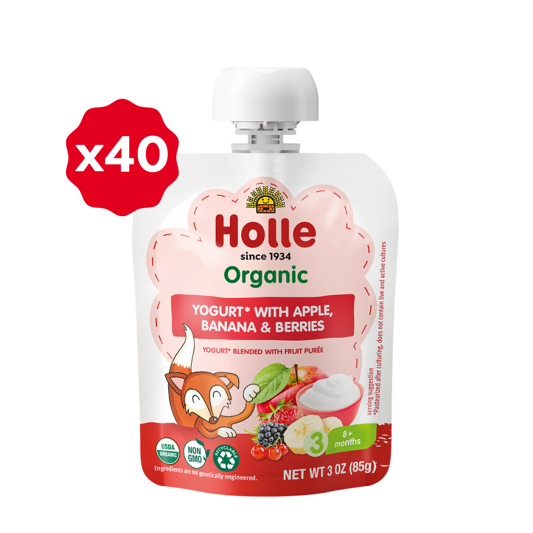 Holle Organic Yogurt Pouches - Apple, Banana & Berries