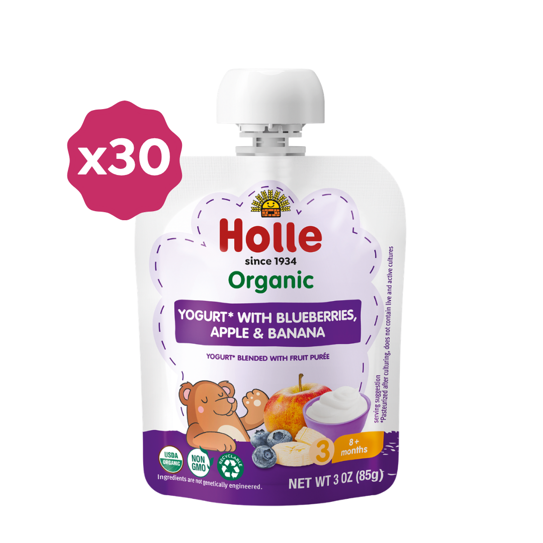 Holle Organic Blueberry, Apple & Banana Yogurt Pouches