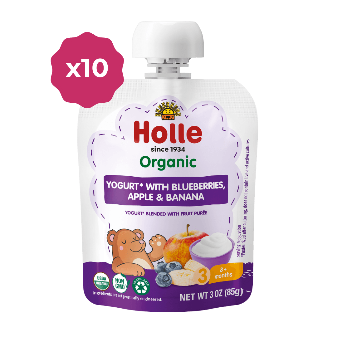 Holle Organic Blueberry, Apple & Banana Yogurt Pouches