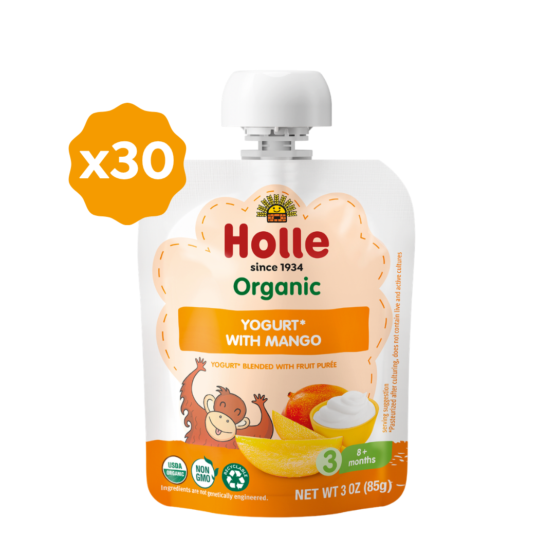Holle Organic Yogurt Pouches - Mango