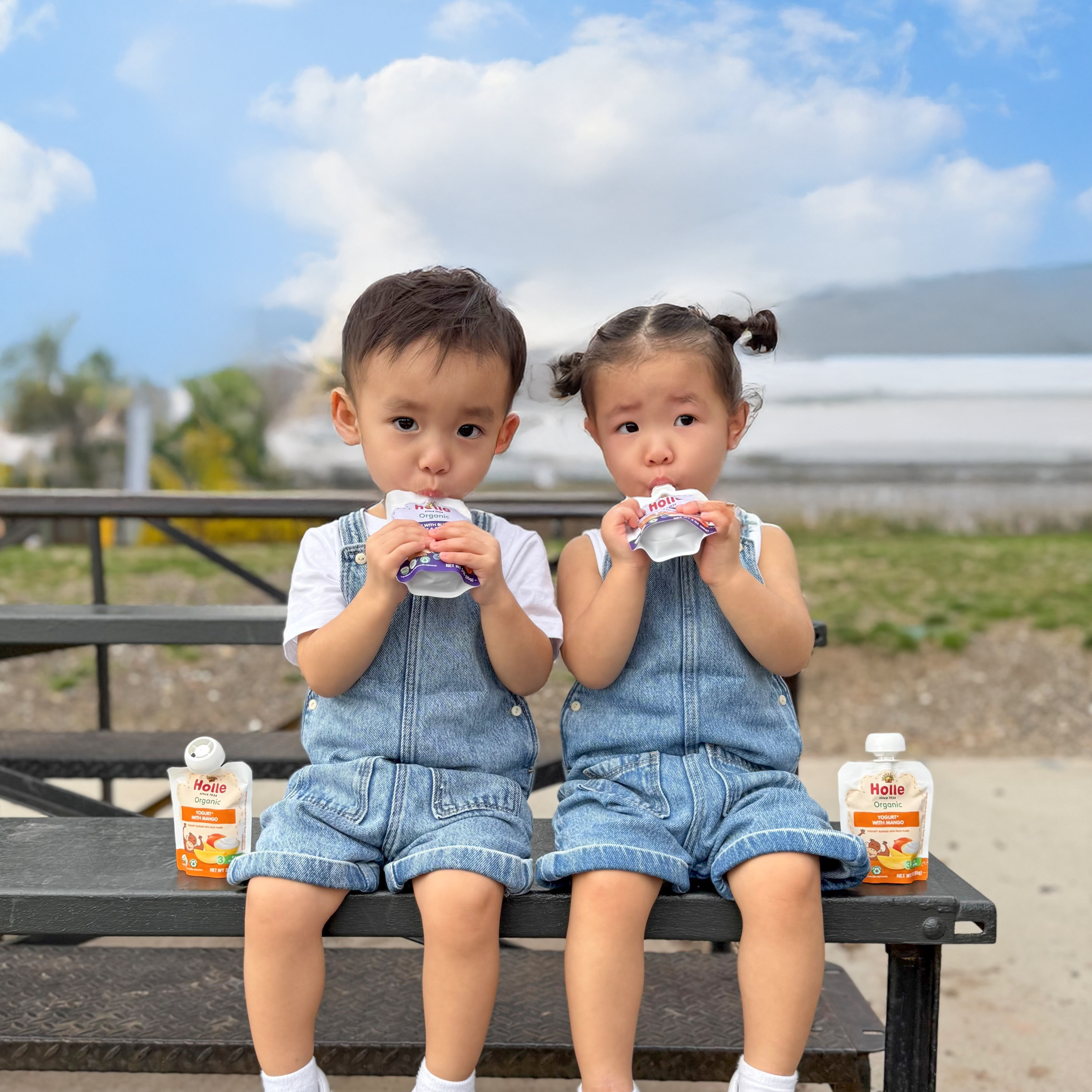 Holle Organic Yogurt Pouches - Mango
