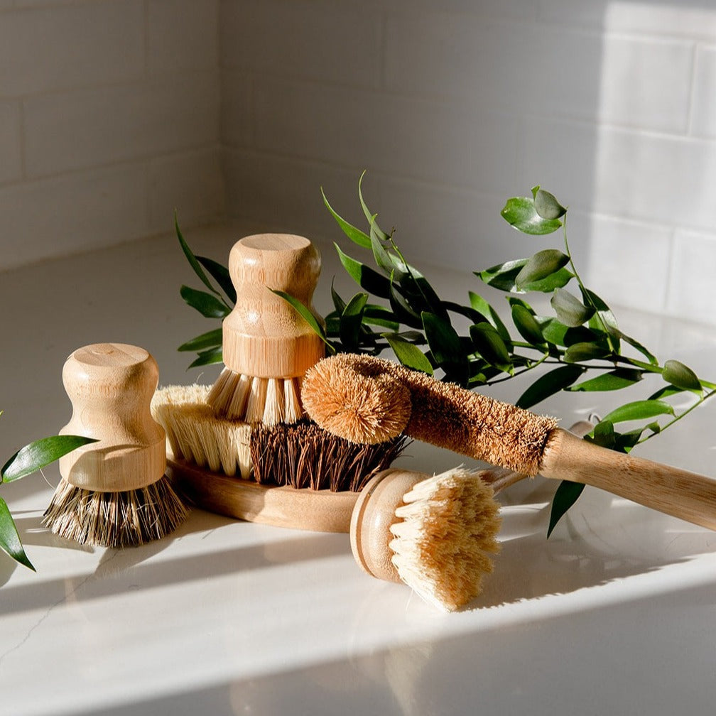 ZeroWasteStore.com Dish Brush - Thumbnail 2