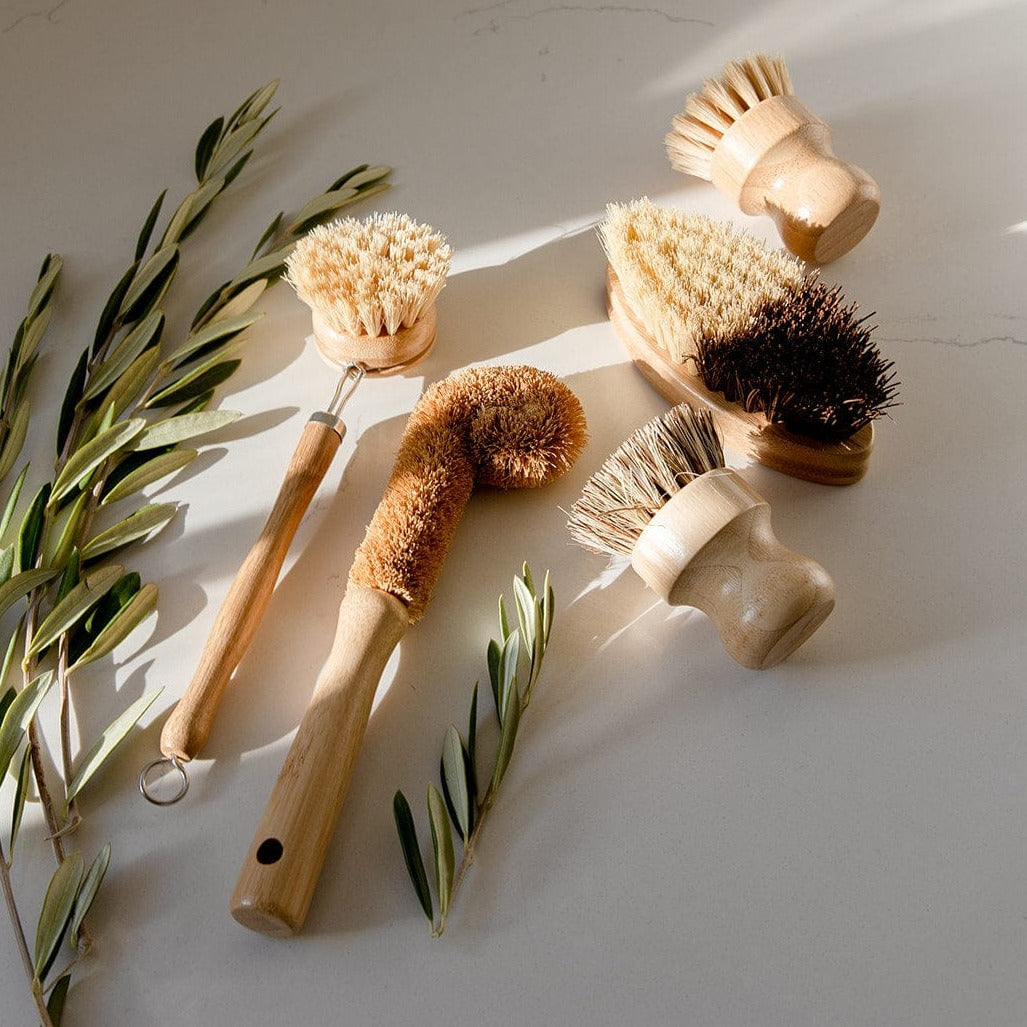 ZeroWasteStore.com Dish Brush - Thumbnail 4