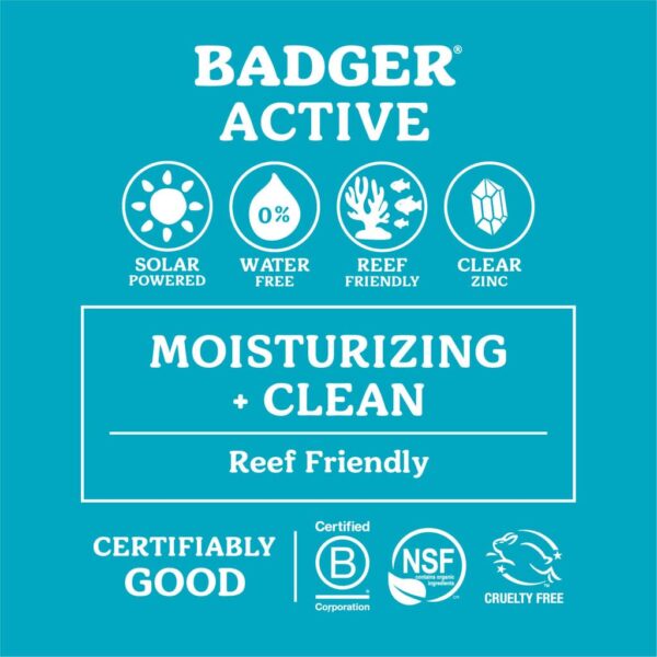 Badger SPF 15 Mineral Sunscreen Lip Balm from Gimme the Good Stuff 003