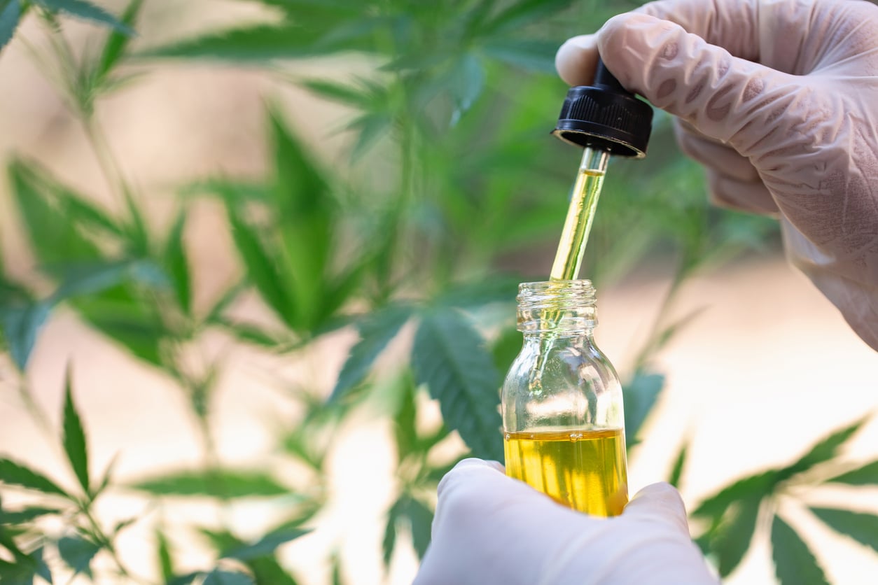 A Beginner’s Guide to Finding the Best CBD Oil