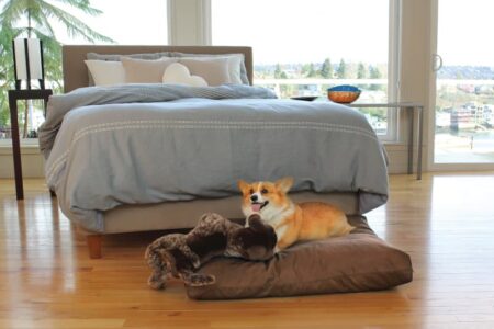 Soaring Heart Organic Dog Bed from Gimme the Good Stuff