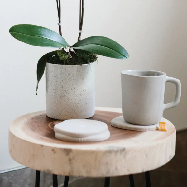 A wooden table with a white coaster set, a plant and a cup of coffee.