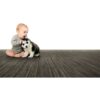 Earth Weave Carpet Dog from Gimme the Good Stuff