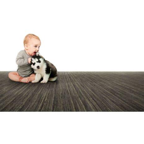 A baby and a black and white puppy sitting on a wool area rug from Earth Weave