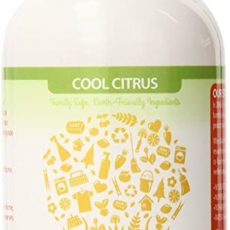 Eco-Me Citrus Vitamin Air Freshener From Gimme The Good Stuff.jpg