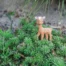 Fanfan Fawn - Natural Rubber Toy from Sophie la Girafe outside in a bush