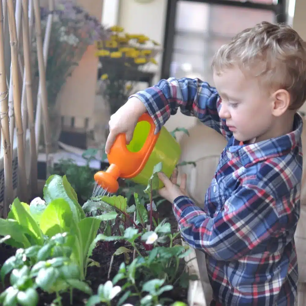 Indoor Gardening for City Kids