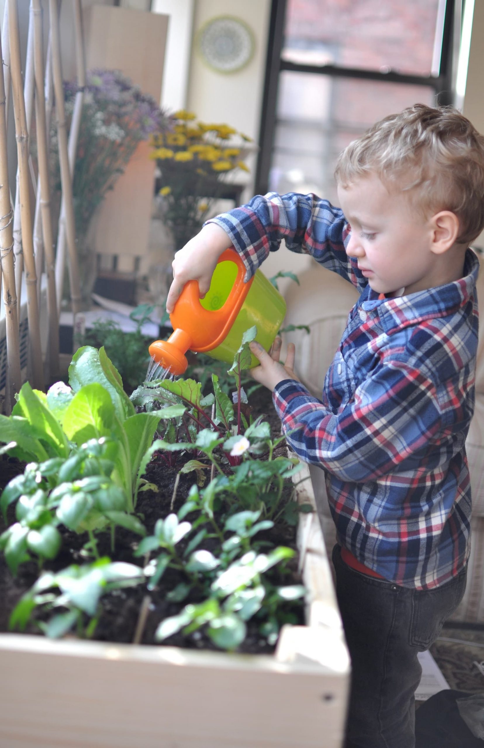 Indoor Gardening for City Kids