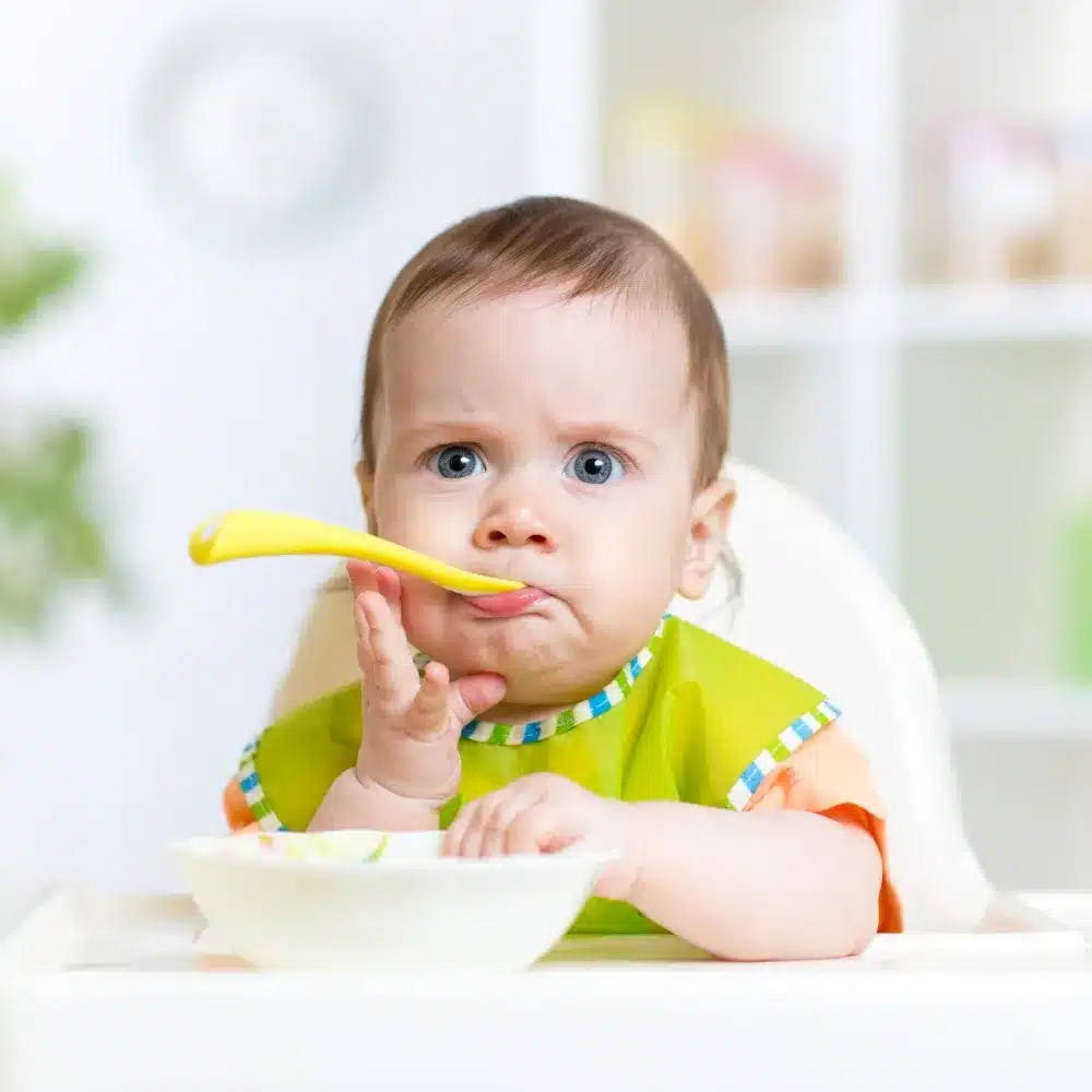 2023 Fresh & Frozen Baby Food Guide