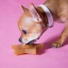 Hevea Star Treat Activity Dog Toy gimme the good stuff