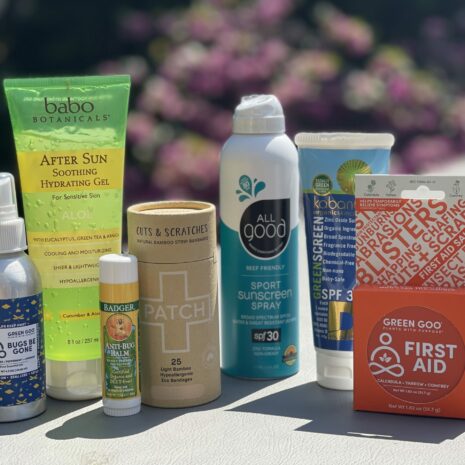Safe Skin for Summer Bundle from Gimme the Good Stuff