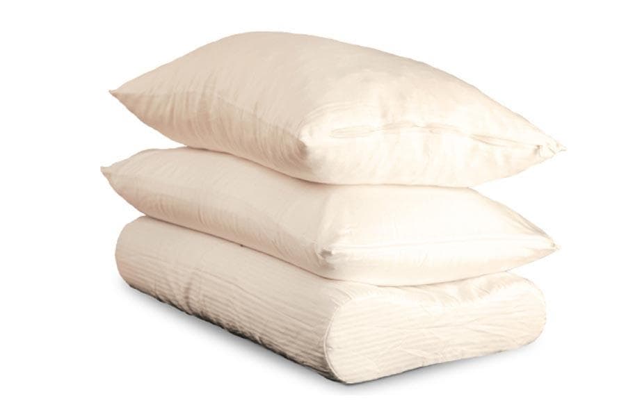 Soaring Heart Organic Latex Pillows