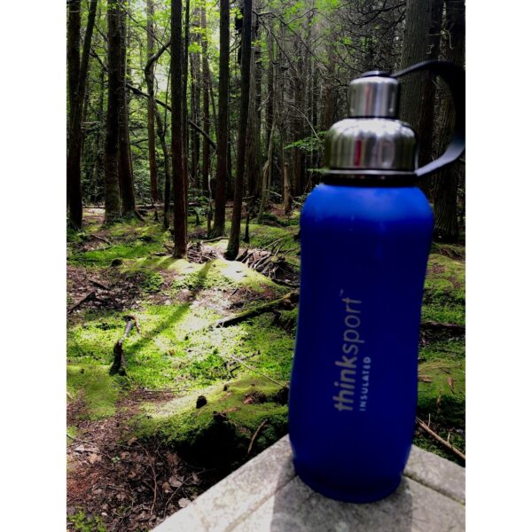 ThinkSport Stainless Steel water Bottle from Gimme the Good Stuff