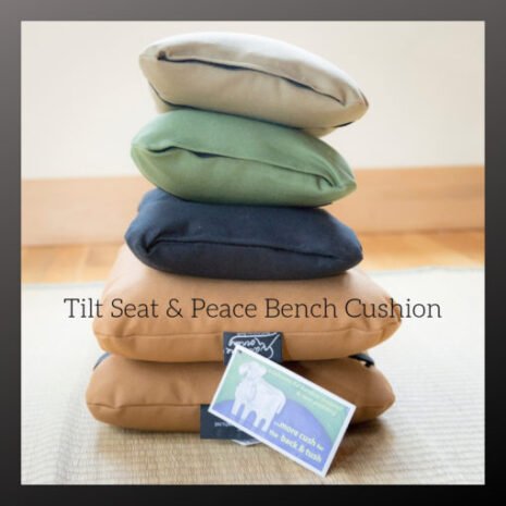 Carolina Morning Peace Bench Cushion from Gimme the Good Stuff