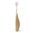 Radius Eco-Friendly Toothbrush in Starch