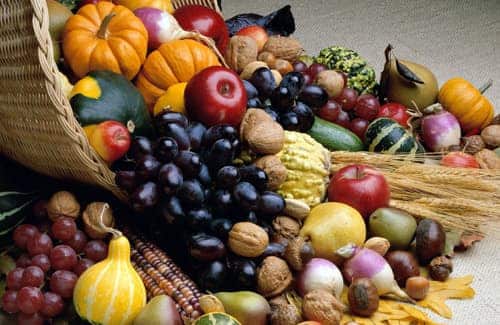 autumn foods