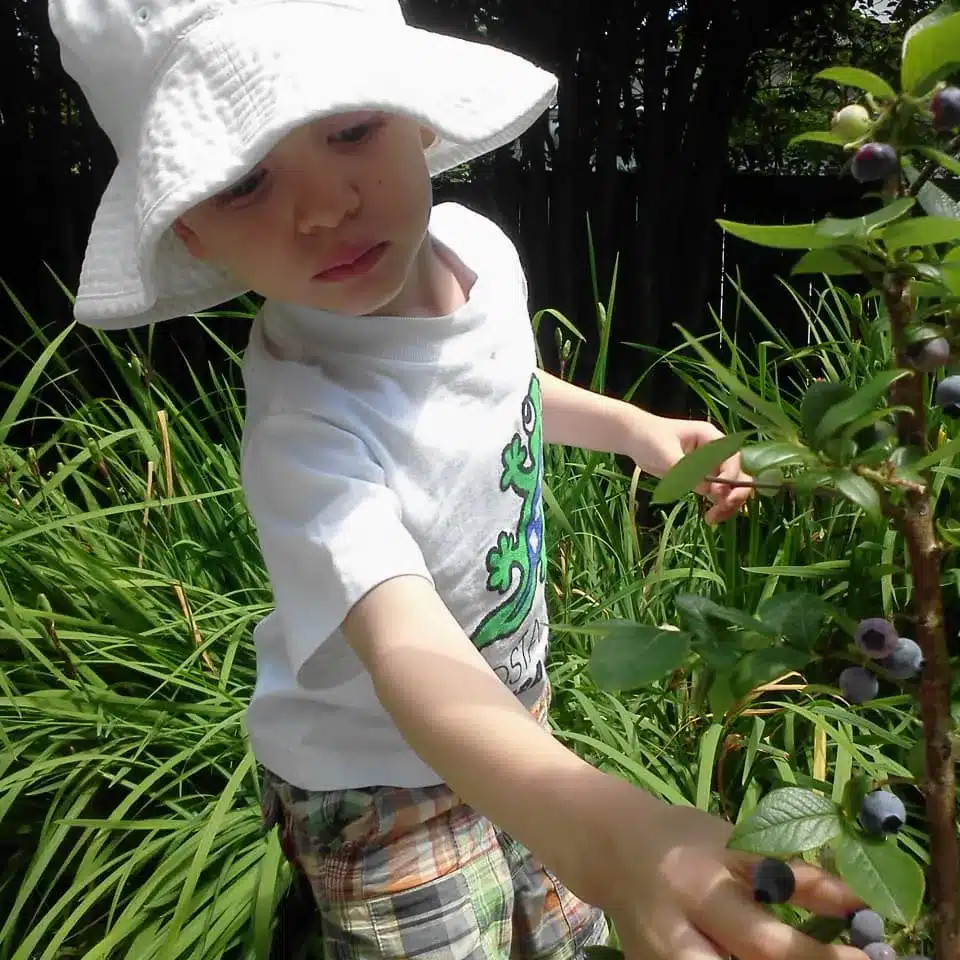A Cure for Fruit-Averse Kids: Picking Wild or Locally Grown Fruit
