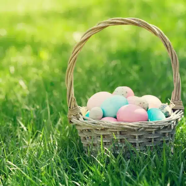 Easter Basket with Real Grass