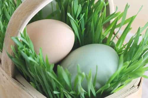 Natural, Non-Toxic Easter Baskets (Optional: Real Grass!)