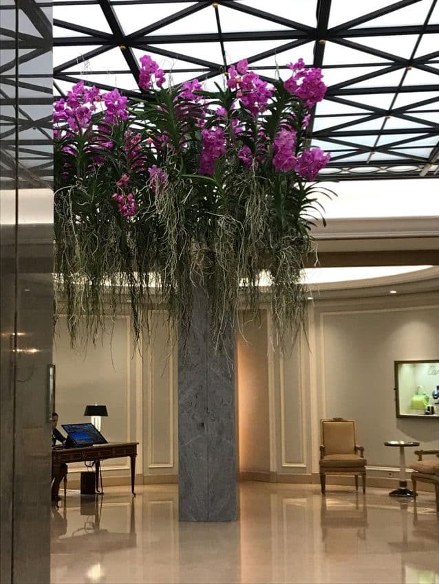 four seasons lisbon lobby gimme the good stuff orchids