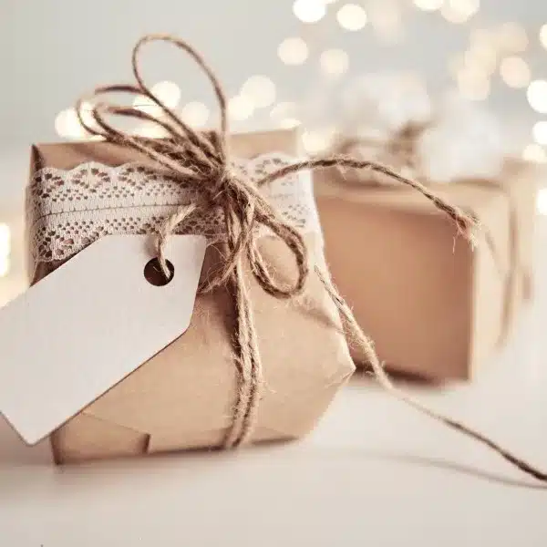 2015 Nontoxic Holiday Gift Guide