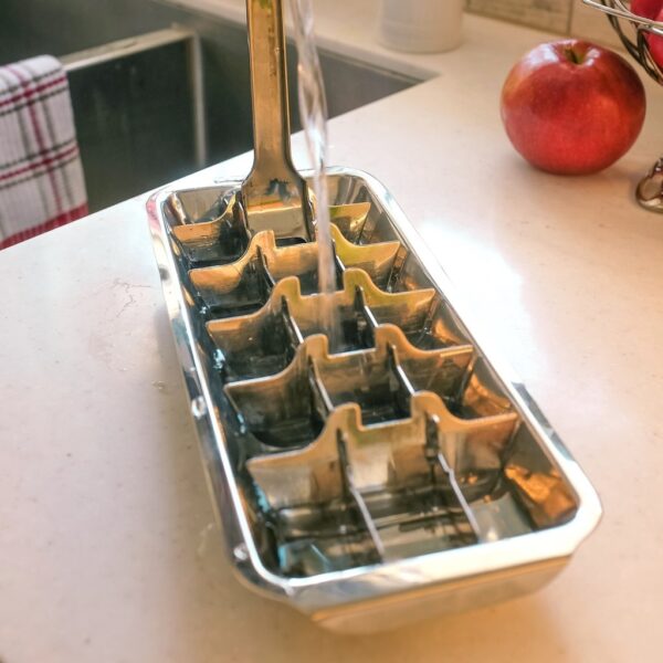 life without plastic ice cube tray from gimme the good stuff