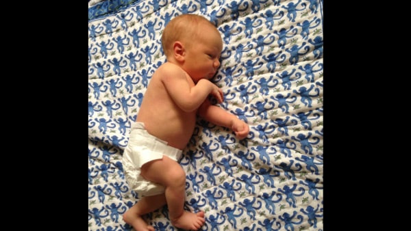 Image of newborn wolfie in diaper. | Gimme The Good Stuff