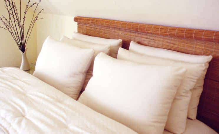 Holy Lamb Organics Wool-Filled Bed Pillows
