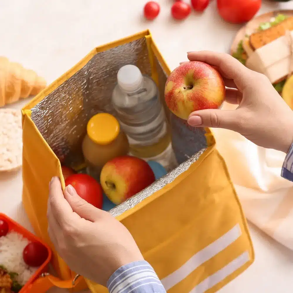Plastic-Free Lunch Packing Supplies for School