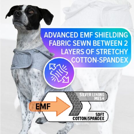 DefenderShield EMF Pet Jacket from Gimme the Good Stuff