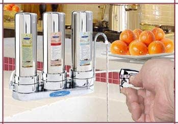 Triple Flouride Stainless Steel Water Filter from Gimme the Good Stuff
